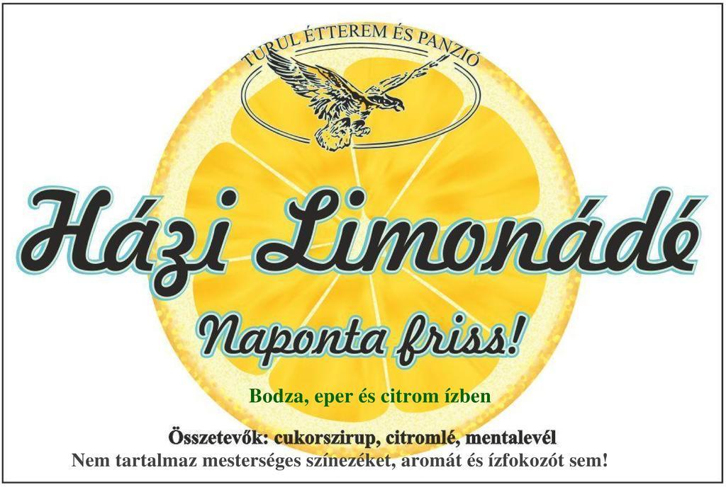 ホテル Turul Etterem Es Panzio Kaposvár エクステリア 写真